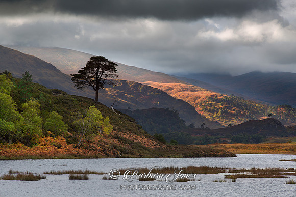 Glen Strathfarrar. Scottish Highlands.