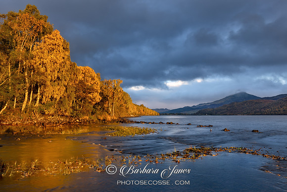 Loch Rannoch Golden Glow, Perthshire Scotland.
