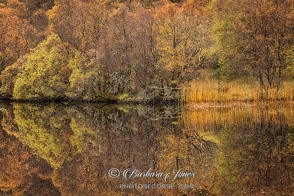 Highland Lochan. Autumnal Hues and Reflections. Scotland.