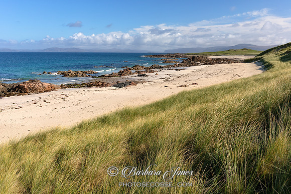 Iona, North End Beach Machair, Inner Hebrides, Scotland.
