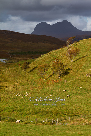 Suilven from Elphin Sun and Shadow Scotland