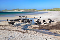 Faraid Head Fine Weather Sutherland Scotland.