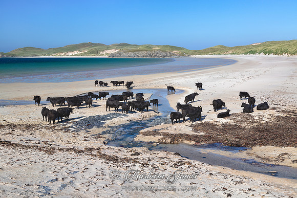 Faraid Head Fine Weather Sutherland Scotland.