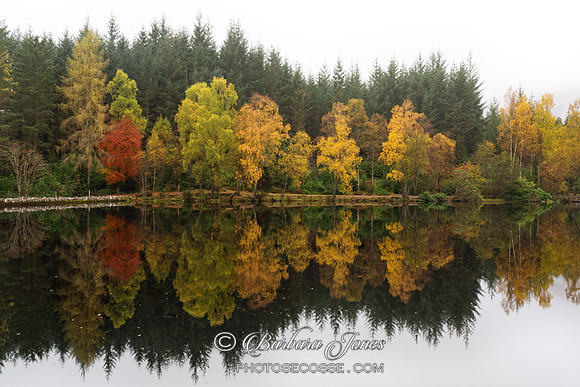 Hospital Lochan Glencoe, Still Moments, Scotland.
