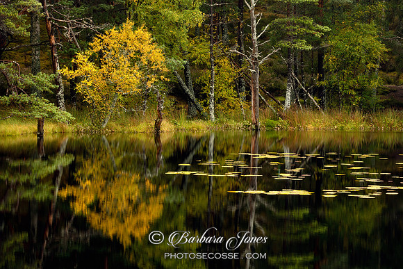 Lochan Uath Glen Feshie Cairngorms National Park Scotland.