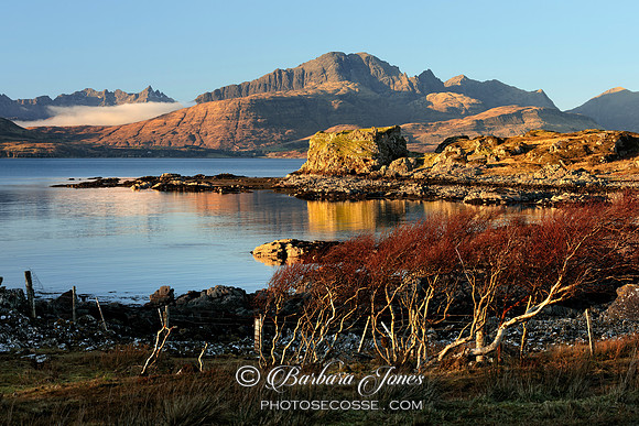 Tokavaig Birches and Blaven Skye Scotland