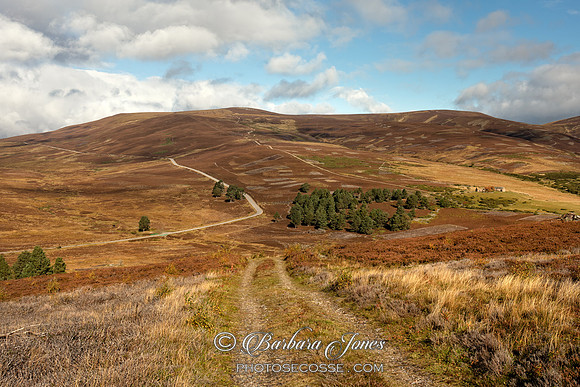 Old Military Road View  Cairngorm National Park Scotland