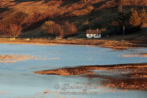 Loch Coultrie Winter Sunlight Scotland.