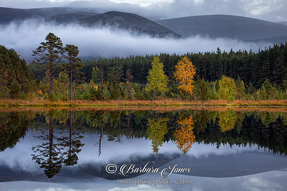 Lochan Uamh Mist. Glen Feshie. Cairngorm NP. Scotland.