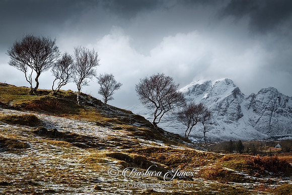 Blaven Birches in Winter, Torrin. Isle of Skye. Scotland.