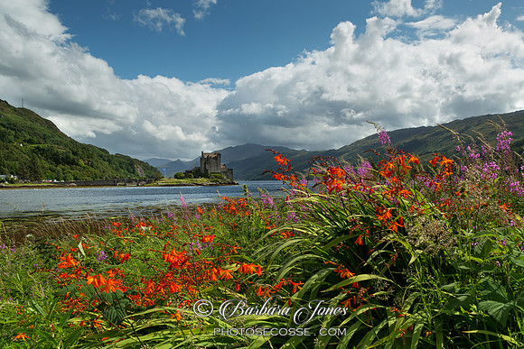 Eilean Donan Castle. Late Summer Flowers. Loch Duich. Scotland.
