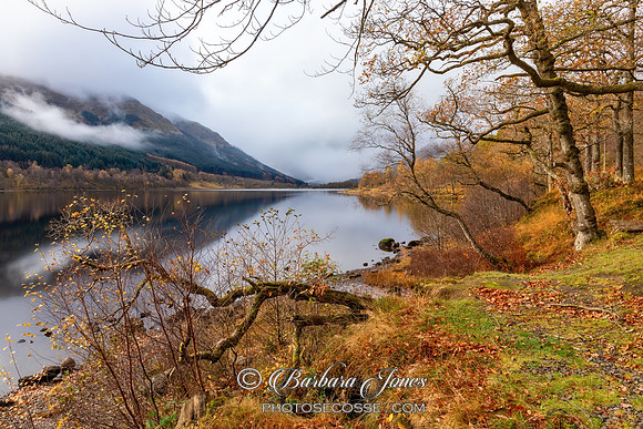 Loch Voil scene in Autumn Trossachs NP Scotland.