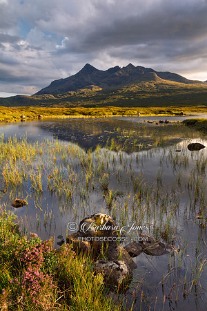 Sgurr nan Gillean. Sligachan.  Summer Evening. Isle of Skye. Scotland.