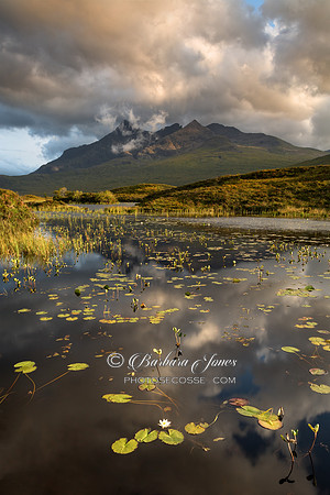 Sgurr Nan Gillean. August Water Lillies. Loch an Eilean. Sligachan. Isle of Skye. Scotland.