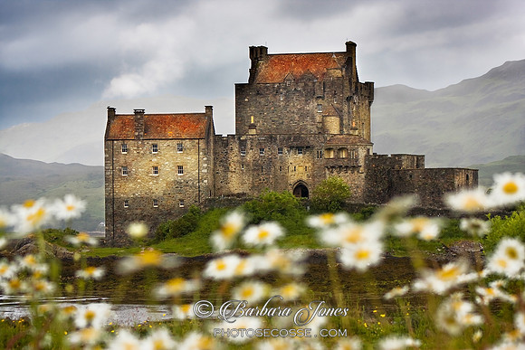 Eilean Donan Castle and  Summer Flowers, Scotland,