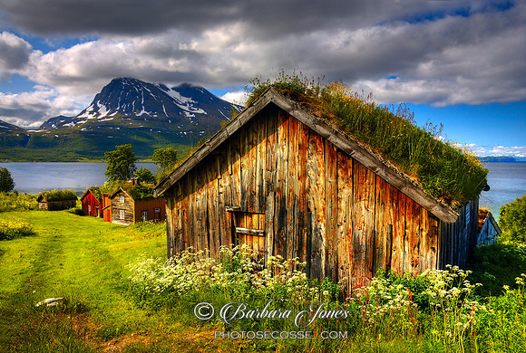 Traditional houses at Hella, Kvaloy, Norway.