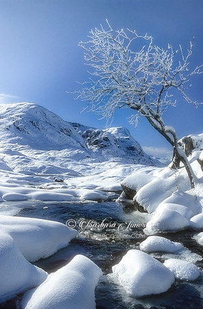 Three Sisters in Winter Glen Coe Scotland