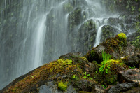Ferns and Mosses Clashnessie Waterfalls. Assynt.