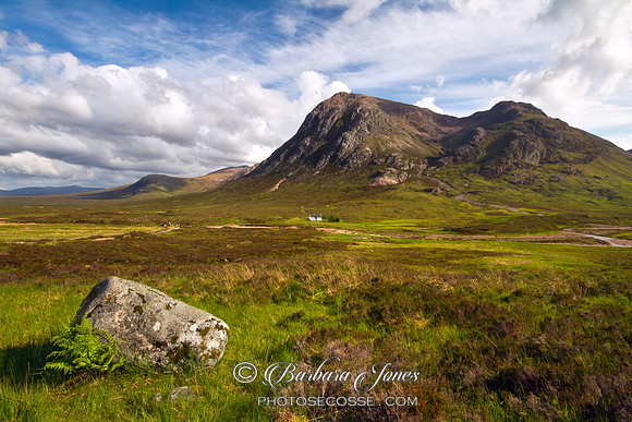 Glen Coe. Lagangarbh and Buachaille Etive Mòr. LF. Scotland.