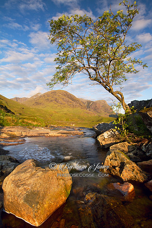 Glen Coe Three Sisters Early morning view Scotland.