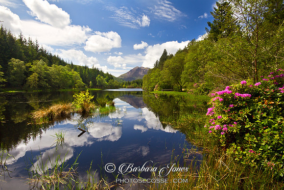 Hospital Lochan Reflections Glencoe, Scotland.