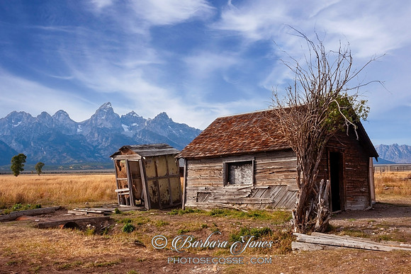 Mormon Row Cabin Grand Teton Wyoming USA