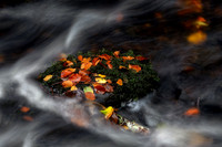 Highland Burn Marooned Scottish Highlands