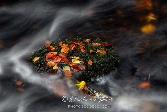Highland Burn Marooned Scottish Highlands