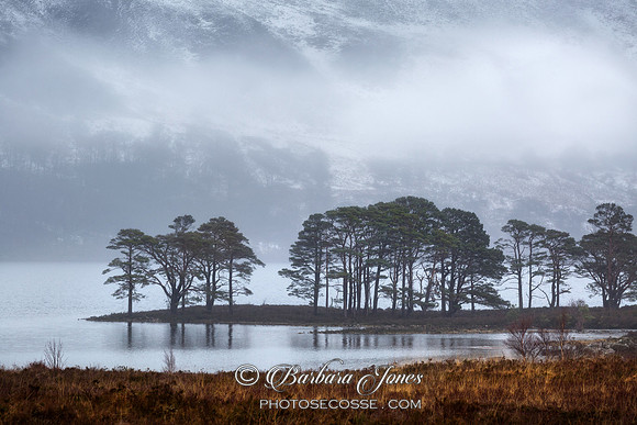 Loch Maree Winter Mists Wester Ross Scotland.