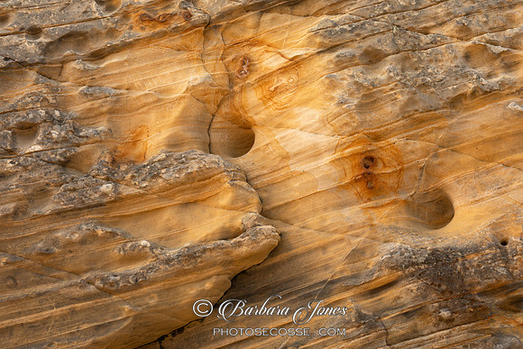 Clashach Cove Rock Strata Moray Scotland