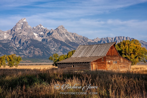 Moulton Barn The Grand Teton Wyoming USA