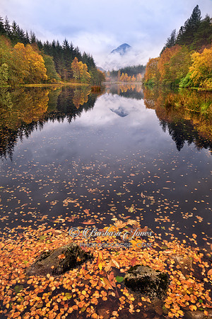 Hospital Lochan Glencoe Fallen Leaves Scotland