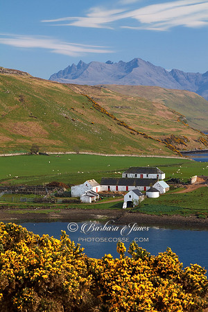 Gesto Farm. Springtime. Isle of Skye. Scotland.