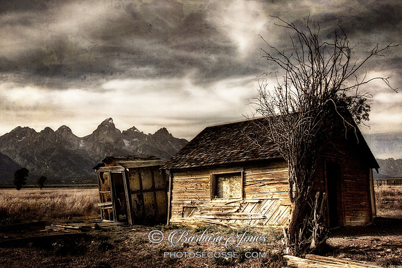 Grand Tetons Mormon Row Cabin Jackson Wyoming USA.