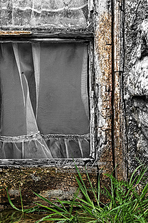 Cottage Window. Golden Road. Isle of Harris. Scotland. Highlands and Islands.