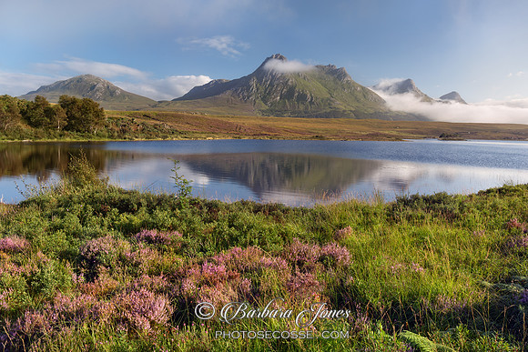 Ben Loyal Heather and Mist. Lochan Hakel Scotland.