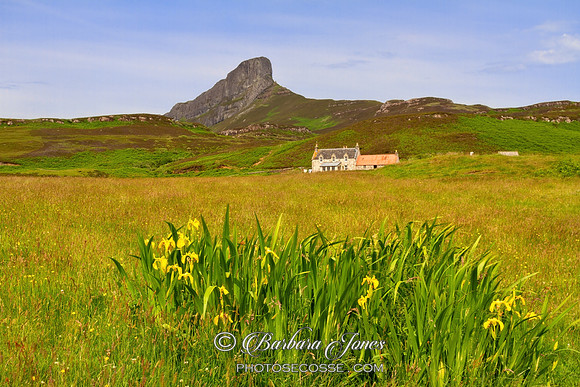 Sgurr of Eigg and Galmisdale Farm Small Isles Scotland.