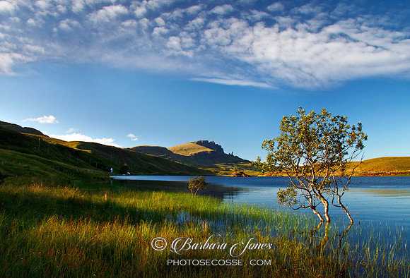 Old Man of Storr, Summer, Trotternish, Isle of Skye. Scotland.